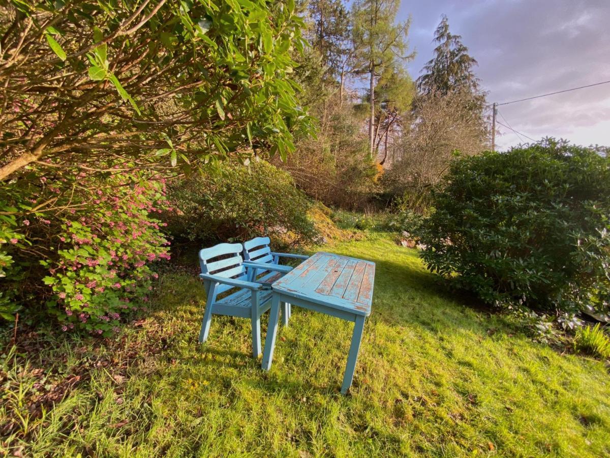 Tyn Y Fron 6 Bedroom House In Betws-Y-Coed Snowdonia Екстериор снимка
