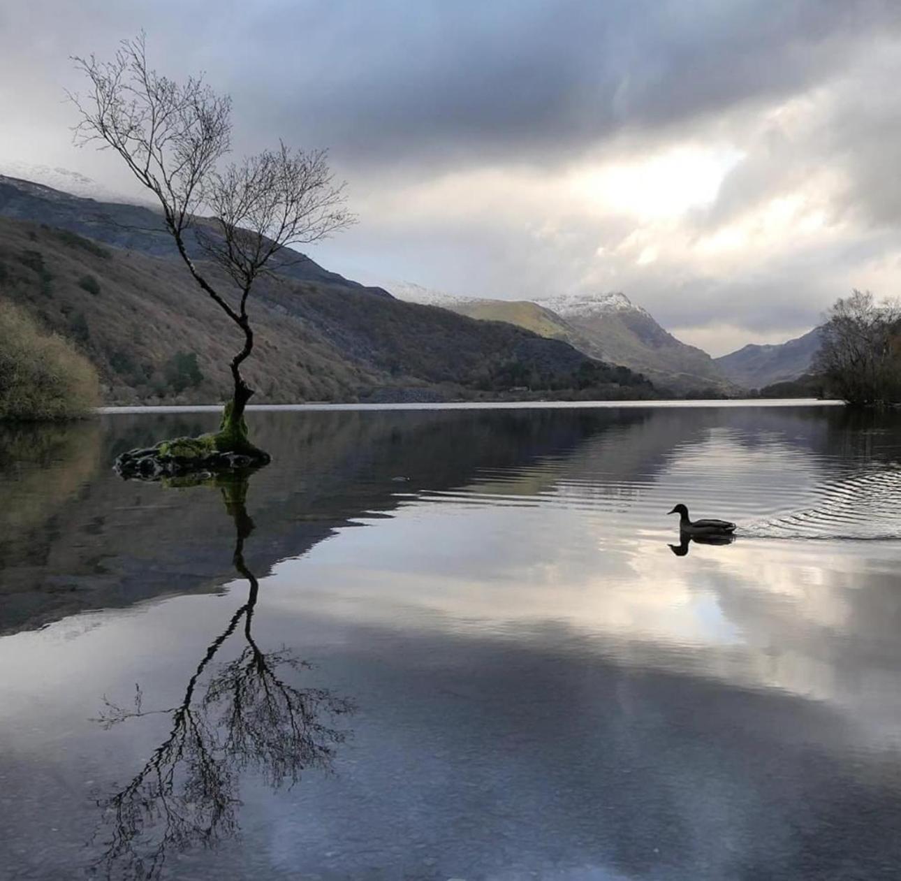 Tyn Y Fron 6 Bedroom House In Betws-Y-Coed Snowdonia Екстериор снимка