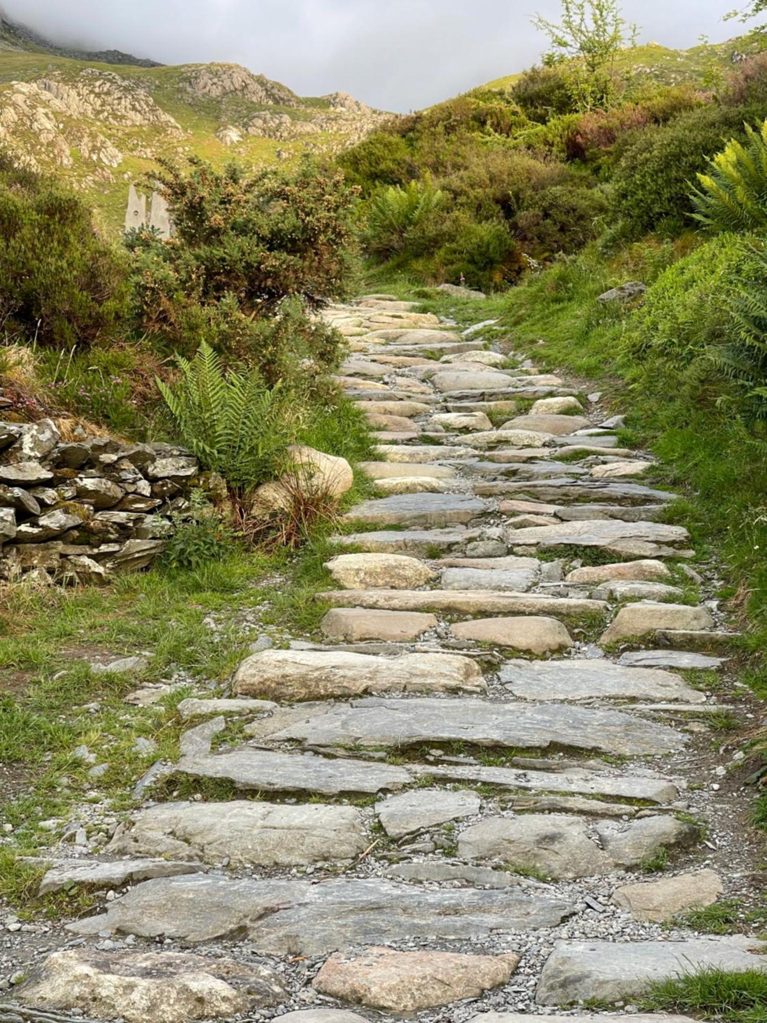 Tyn Y Fron 6 Bedroom House In Betws-Y-Coed Snowdonia Екстериор снимка